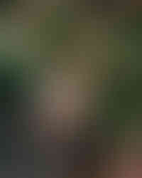 Hudson Valley Family Photographer