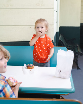 Hudson Valley Family Photographer