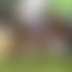 Libertad too good first-up in San Domenico Stakes