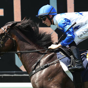 Thunder Warning as O'Shea and Charlton chase stakes double