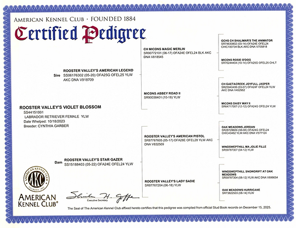 Violet AKC Pedigree.png