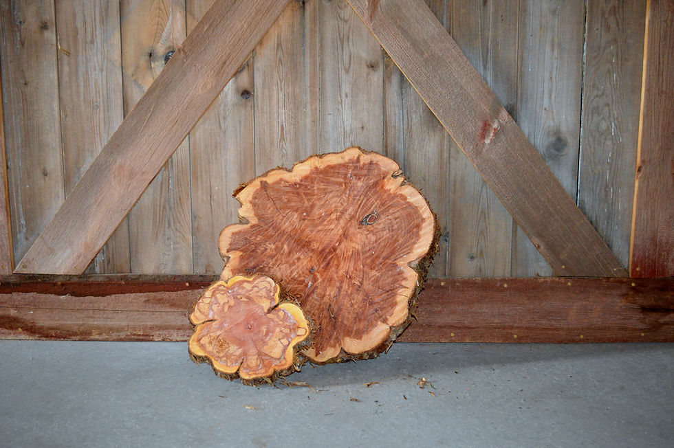 Thumbnail: Wood Large Circle
