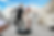 Picture3.png