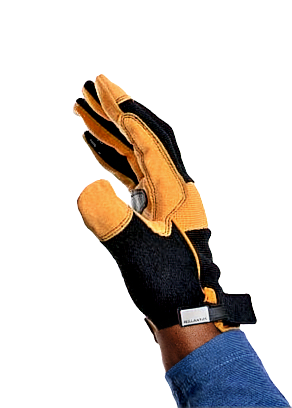 istockphoto-531318479-612x612_edited_edi