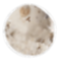 CHOCOLATE CHIP COOKIE DOUGH image