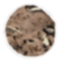 CLASSIC COOKIE image