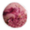SUPER BERRY ACAI image