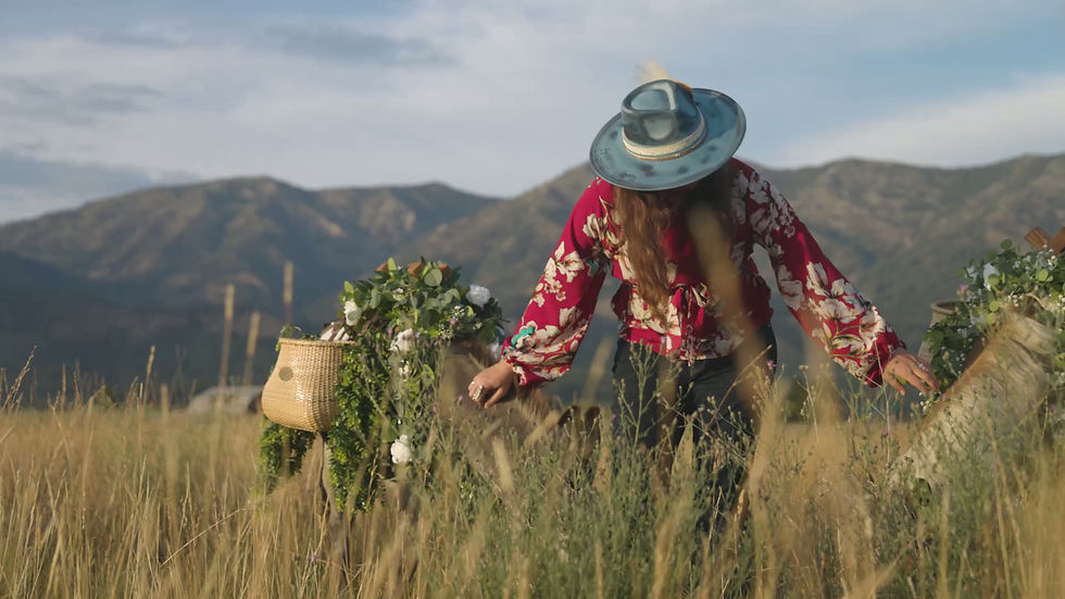 Web Header 1080 (2).mp4