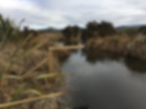 environmental monitoring waterwatch
