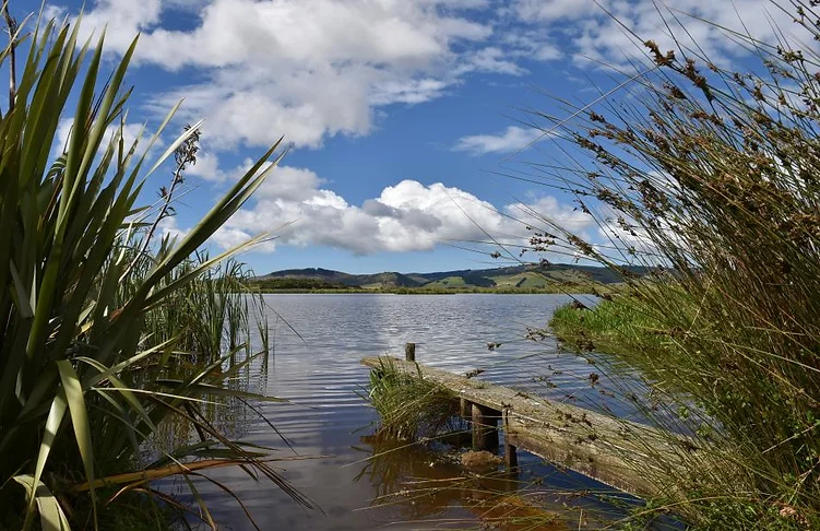 sinclair_wetlands_1.jpg