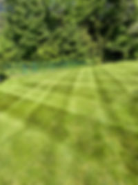IMG_6258.jpeg