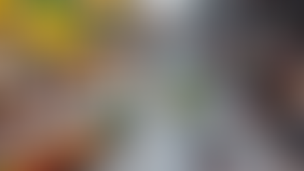 L'Inde en chemin pour rivaliser contre la Chine sur la scène économique