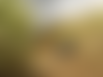 La Crise du Secteur Sucrier au Kenya : Un Impact sur l’économie et les réformes structurelles