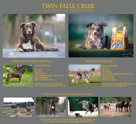 twinfallscreek.jpg