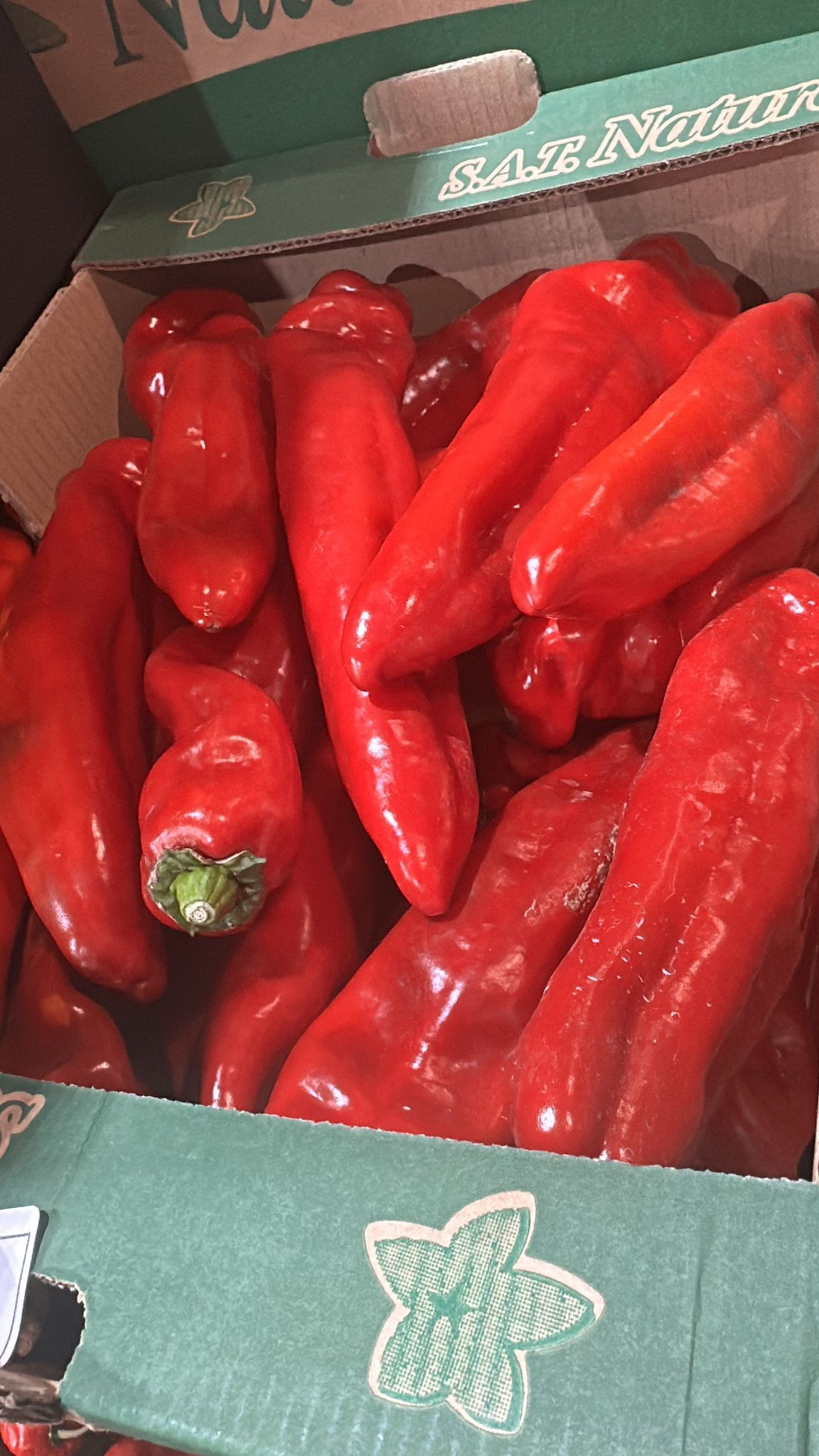LONG CAP PEPPER