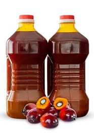 OILS.webp