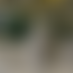 settore alimentare moca metalstampo pressofusione alluminio e zama