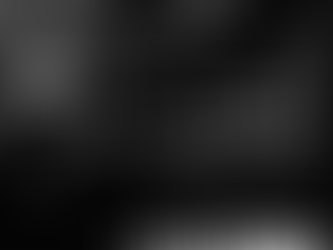 L'azienda rimarrà chiusa per festività il giorno 8 dicembre 2025