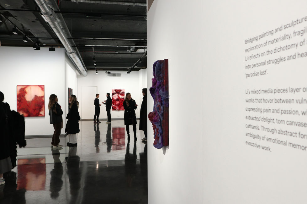 Amy's First Solo Exhibition #1