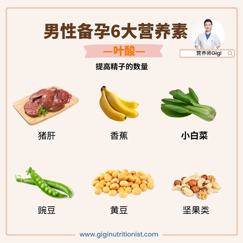 营养师建议男生备孕必吃的营养素—叶酸—提高精子的数量