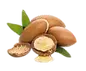 nueces.webp