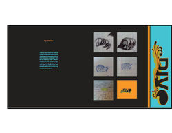 brandbook_dive_web9.jpg