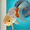 camera icon 1.jpg
