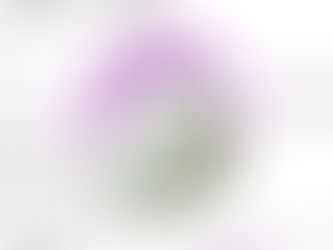 Encuesta: Coronavirus y cuarentena en Campana