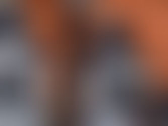 Cayó una banda que robaba a los vecinos de Las Praderas