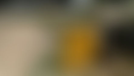 Santa Lucía: el Municipio repuso la compuerta para prevenir el ingreso de agua ante sudestadas