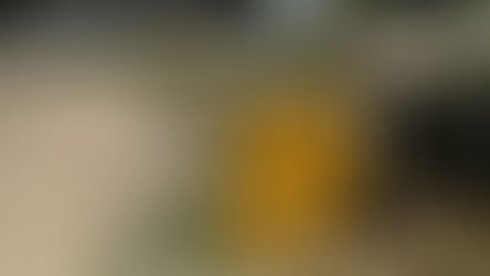 Santa Lucía: el Municipio repuso la compuerta para prevenir el ingreso de agua ante sudestadas