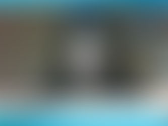 Ante la Cámara de Diputados, Soledad Alonso repudió las declaraciones de ''Lucho'' Bugallo