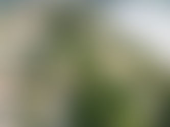 Los Talleres Ferroviarios para los vecinos de Campana? Minga! (por Joel Vallomy)