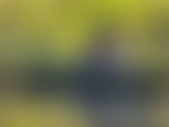 El Boat Club comienza este domingo el año de regatas oficiales