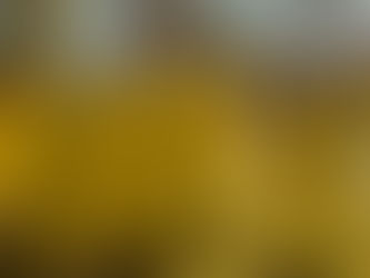 Río Luján: se realizó un operativo sanitario para detectar casos sospechosos de Covid - 19