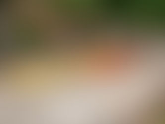 El Municipio realiza tareas de pintura para la señalización vial en las escuelas 