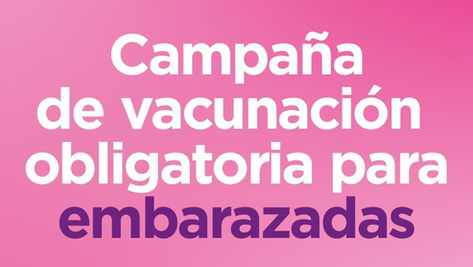 Embarazadas: el 12 de enero comienza la campaña de vacunación contra el Virus Sincicial Respiratorio