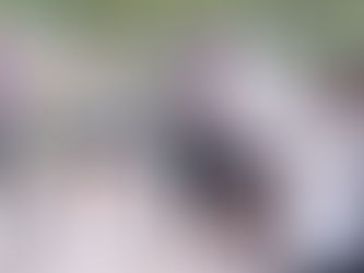 Alejo Sarna: "Junto a los vecinos, queremos hacer de Campana una ciudad más segura"