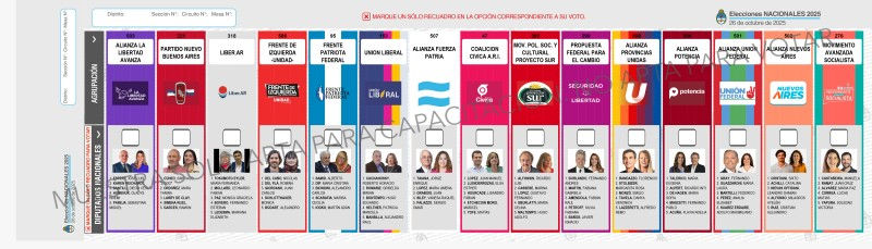 La boleta única que se utilizará el domingo.