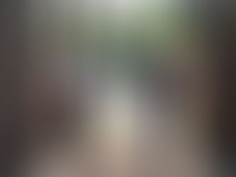 Confirman que comenzarán con las obras de mantenimiento del camino del Canal Irigoyen