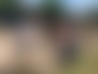 “Mientras Abella corre carreras los vecinos conviven con la materia fecal en la cocina”