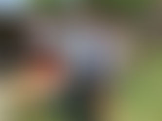 Octavio Lagar llevó donaciones al merendero ''Granito de Arena''