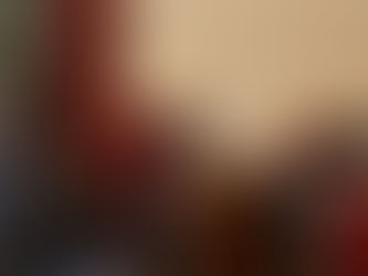 “La nueva ordenanza fiscal trae equidad contributaria”