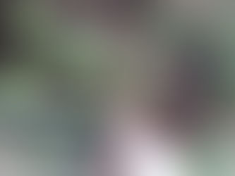 Sembrando Campana cierra su primera etapa