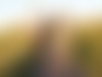 Buscan revitalizar un espacio para los vecinos