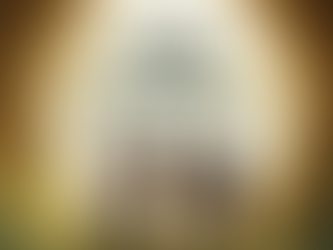 Primer adelanto de “El Robo del Siglo” (por Anto Coronel)