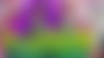 Rítmica: gimnastas del Club Ciudad se coronaron subcampeonas nacionales