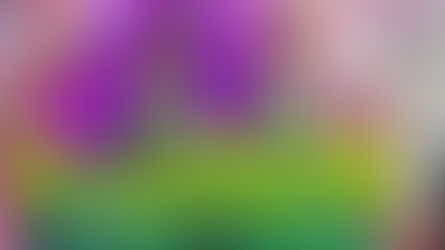 Rítmica: gimnastas del Club Ciudad se coronaron subcampeonas nacionales