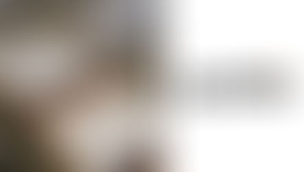 La obra del acceso al Parque Industrial generaría la llegada de otras empresas del Grupo Corven