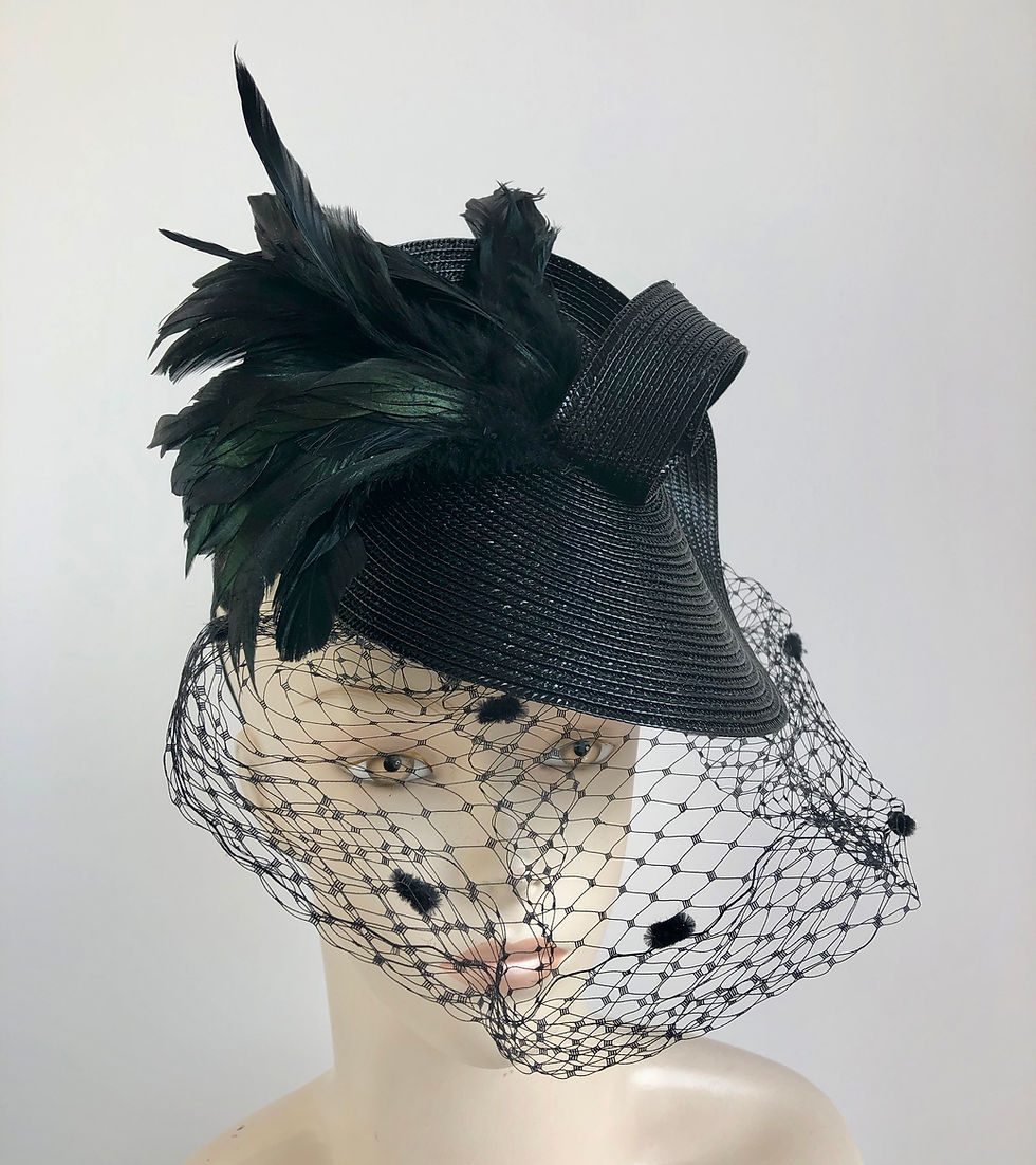 Thumbnail: Bent Disk  (with netting, all black)